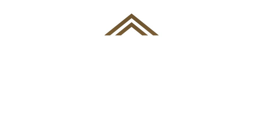 Auspicia Consulting